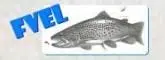 Logo FV Ergolz Liestal