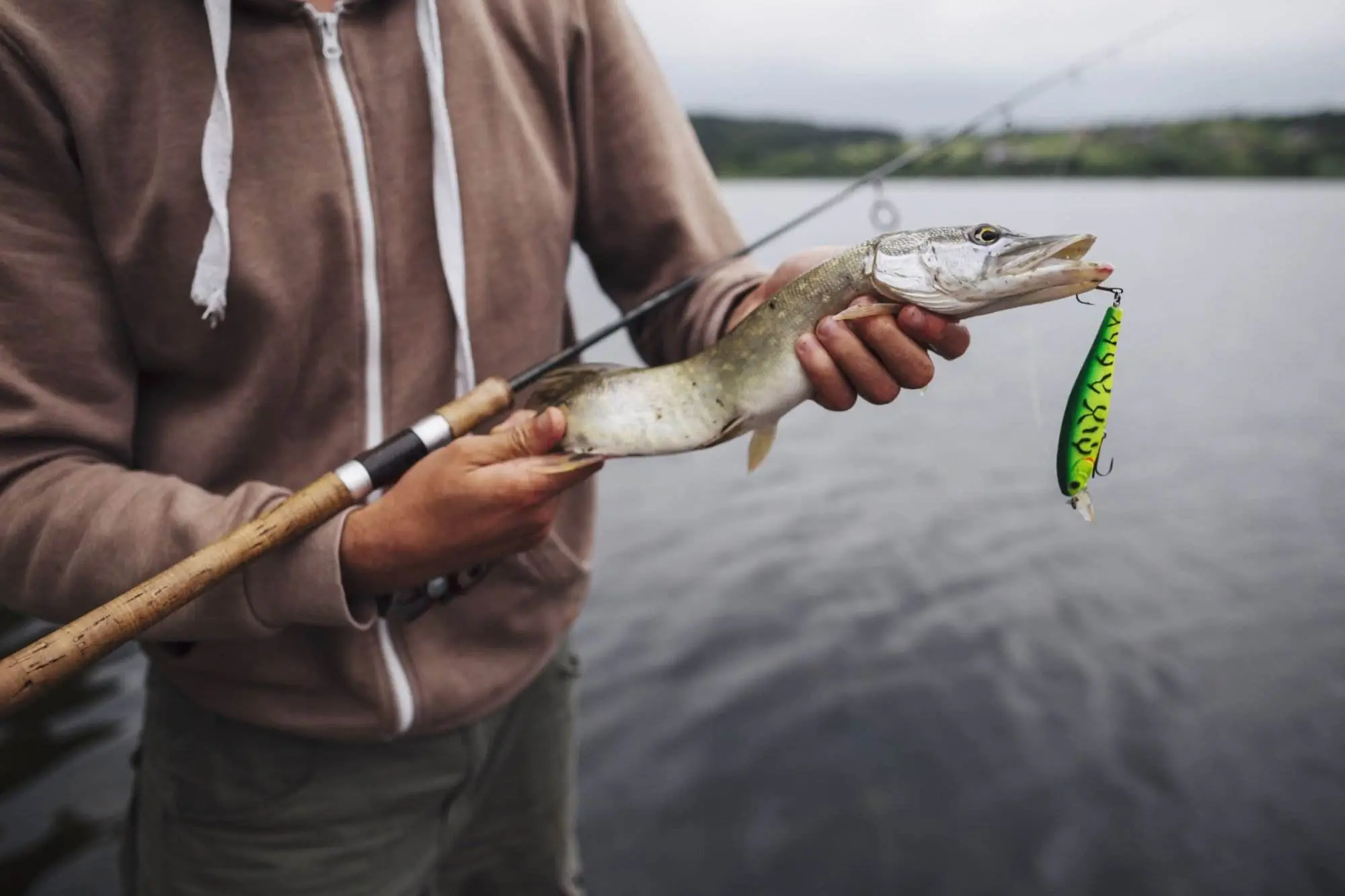 Eine Person in einem braunen Kapuzenpullover hält eine Angelrute und einen kleinen Fisch mit einem grün-gelben Kunstköder an einem Gewässer mit einer verschwommenen Uferlinie im Hintergrund.