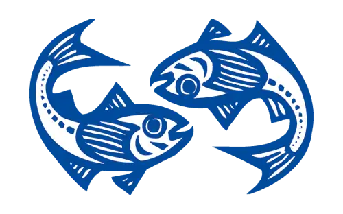 Logo FV Stausee Killwangen