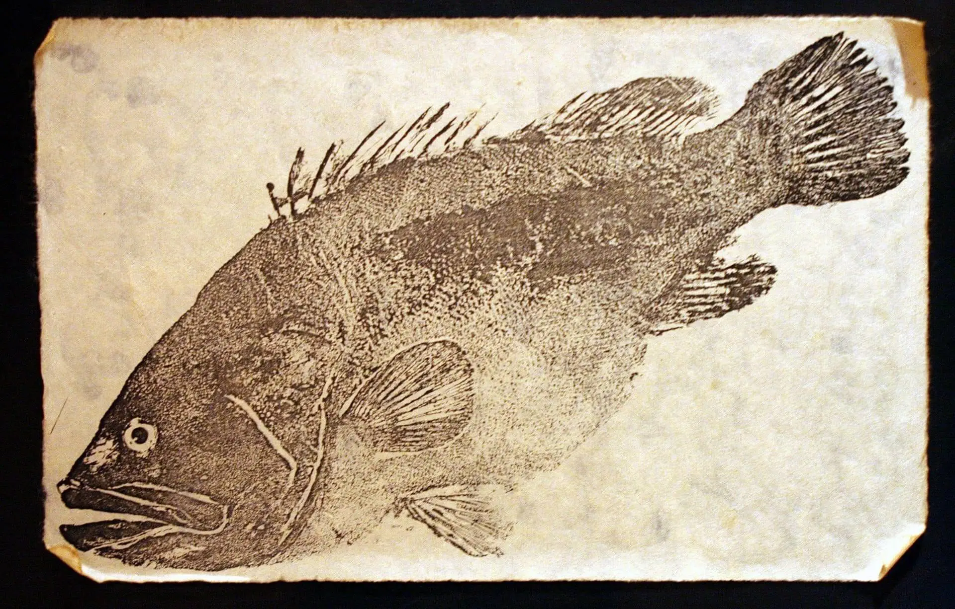 Ein detaillierter, schwarz-weißer Gyotaku-Fischdruck eines Fisches auf strukturiertem, gealtertem Papier, der Schuppen, Flossen und ein hervorstehendes Auge zeigt – eine elegante Anspielung auf traditionelle japanische Kunst mit abgenutzten, leicht eingerissenen Kanten.
